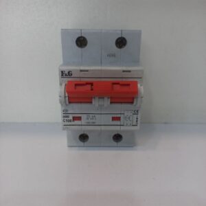 مینیانوری خشک دو پل